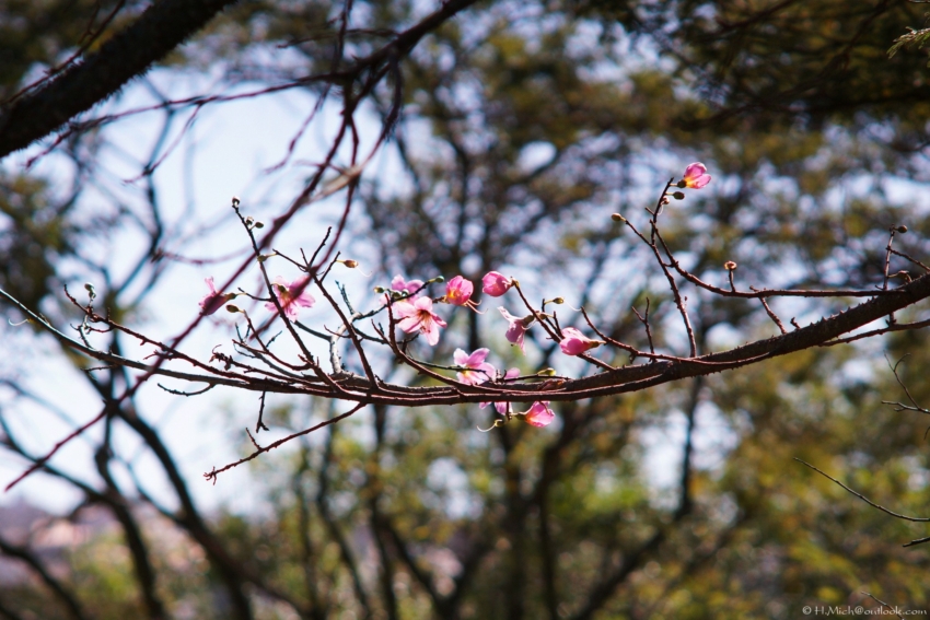 Studio-One.Art.br Repo Fotografia em Rio Preto SP/Brasil