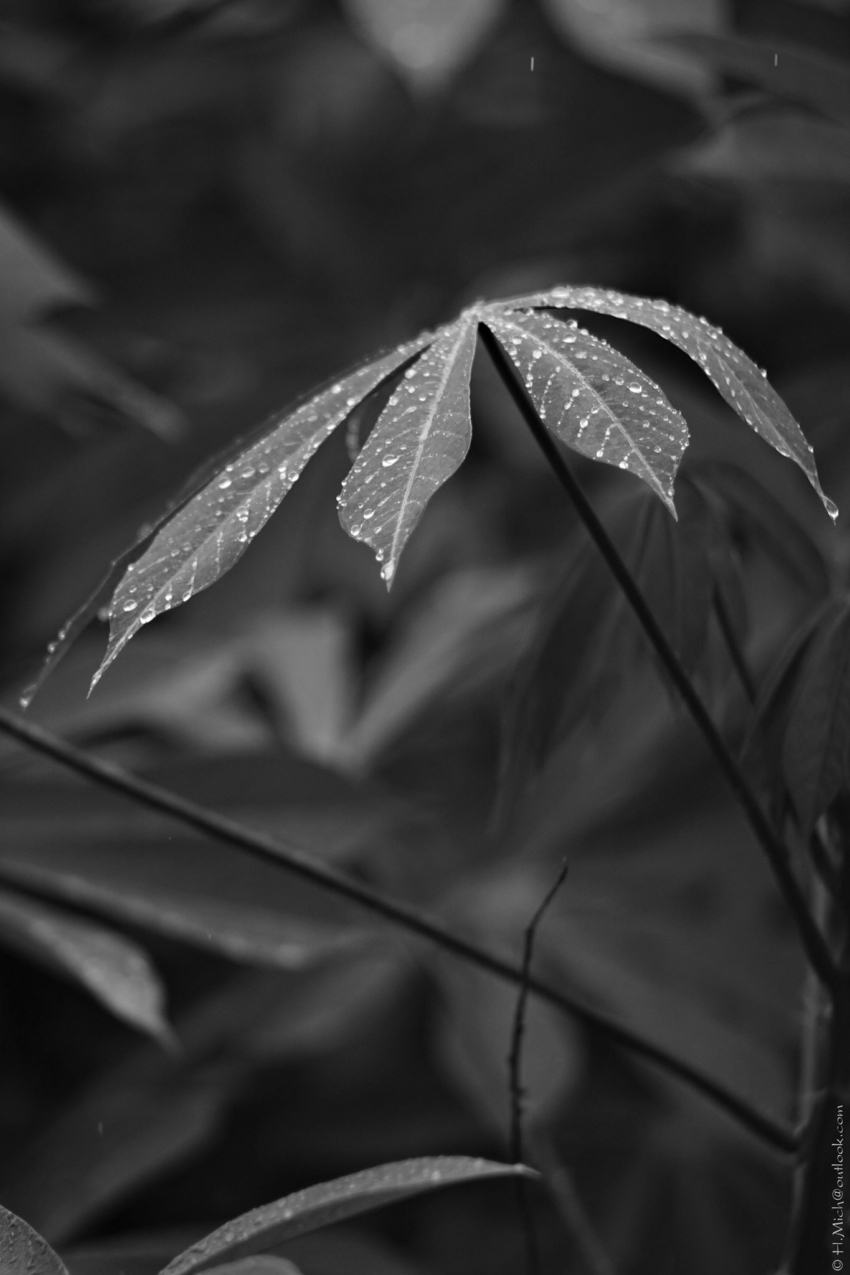 Studio-One.Art.br Repo Fotografia em Rio Preto SP/Brasil