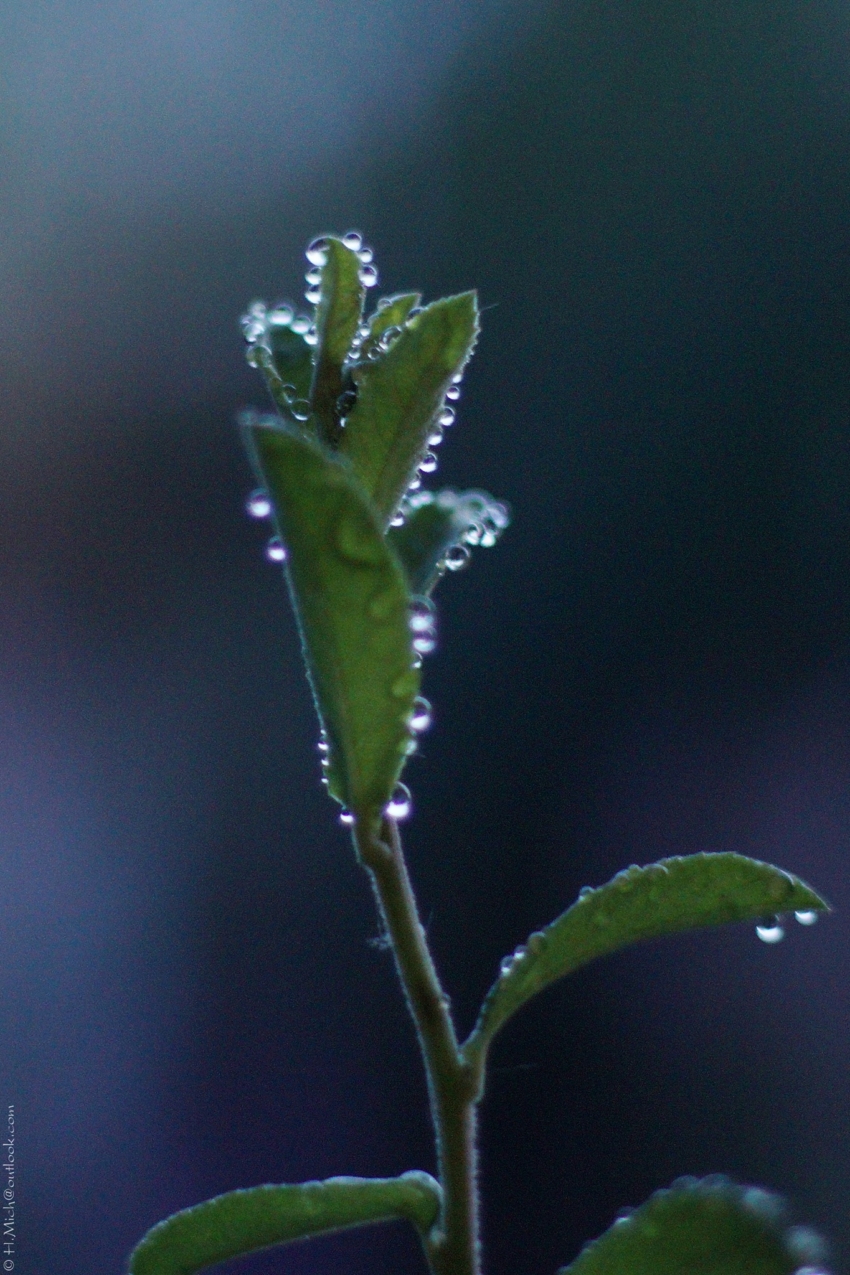 Studio-One.Art.br Repo Fotografia em Rio Preto SP/Brasil