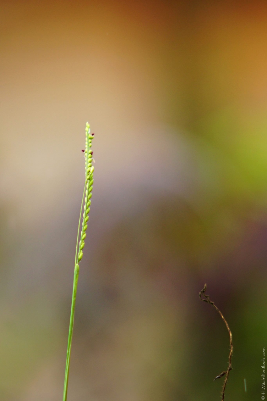 Studio-One.Art.br Repo Fotografia em Rio Preto SP/Brasil