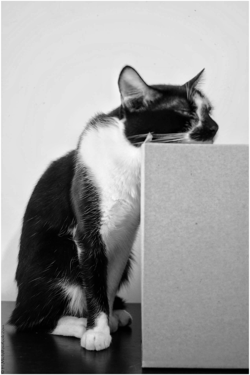 Studio-One.Art.br Repo Fotografia em Rio Preto SP/Brasil