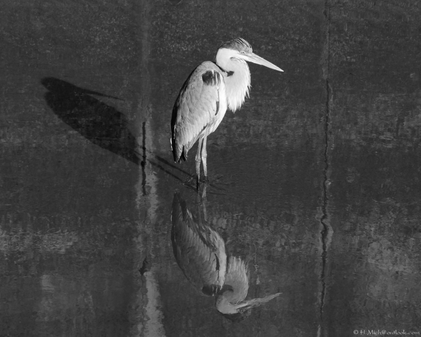 Studio-One.Art.br Repo Fotografia em Rio Preto SP/Brasil