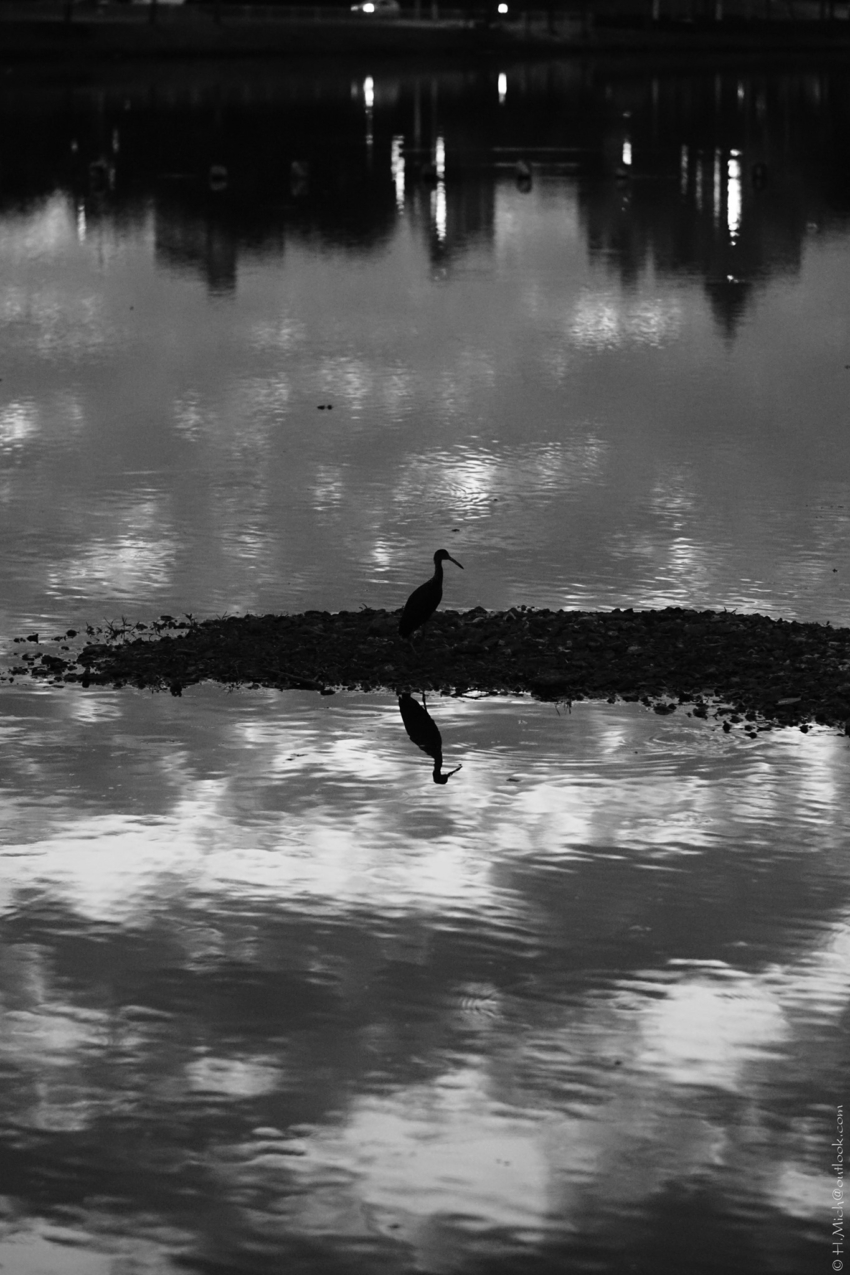 Studio-One.Art.br Repo Fotografia em Rio Preto SP/Brasil