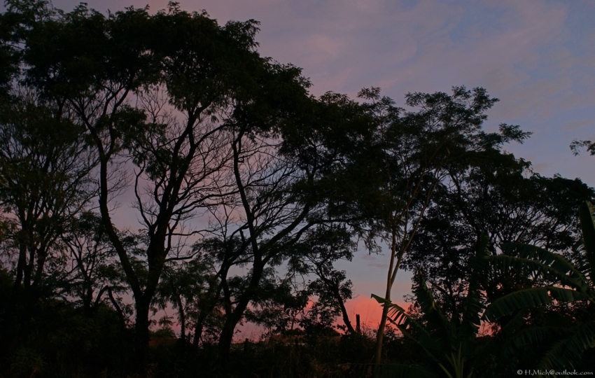 Studio-One.Art.br Repo Fotografia em Rio Preto SP/Brasil