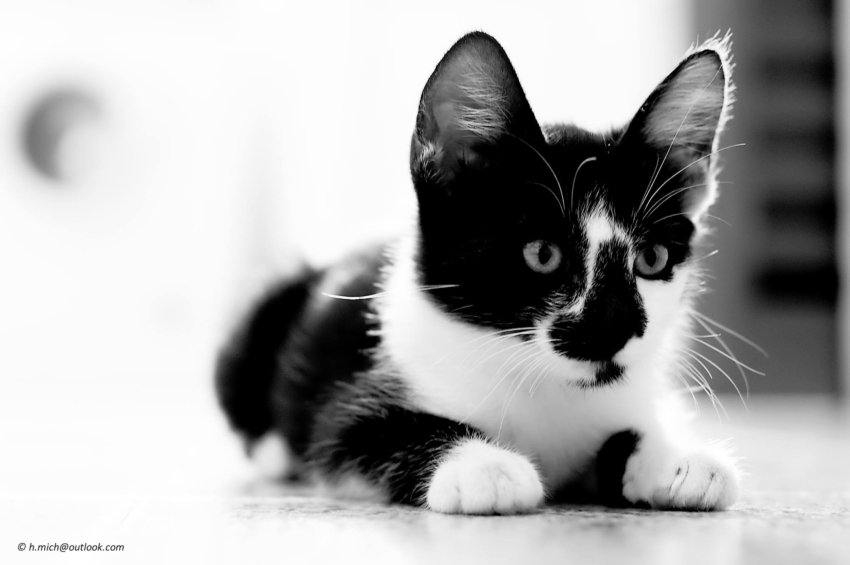 Studio-One.Art.br Repo Fotografia em Rio Preto SP/Brasil