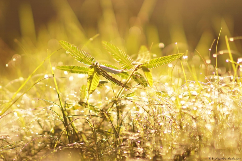 Studio-One.Art.br Repo Fotografia em Rio Preto SP/Brasil
