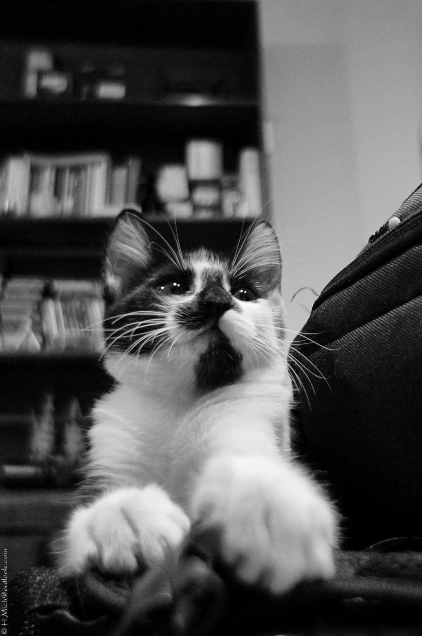 Studio-One.Art.br Repo Fotografia em Rio Preto SP/Brasil