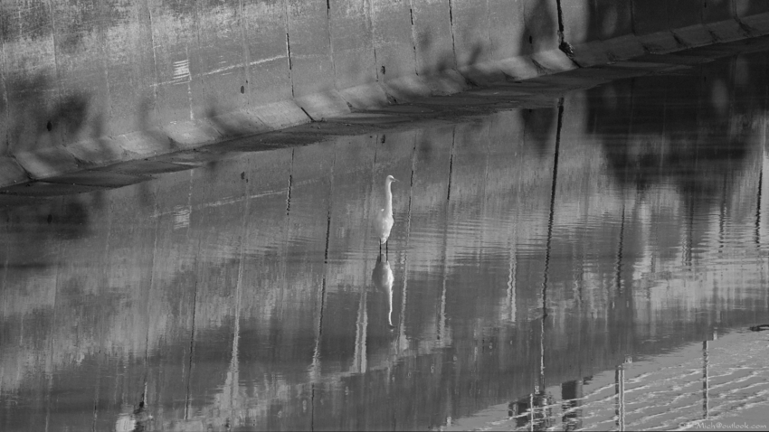 Studio-One.Art.br Repo Fotografia em Rio Preto SP/Brasil