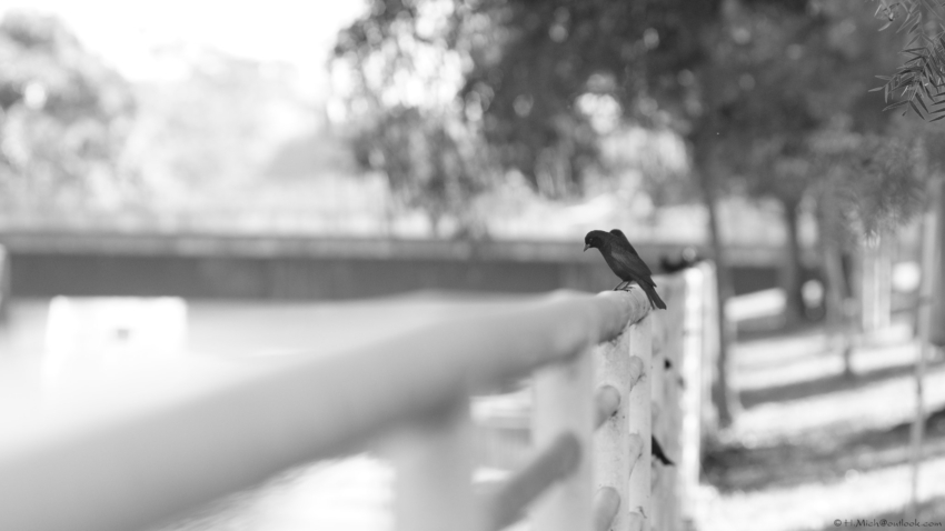 Studio-One.Art.br Repo Fotografia em Rio Preto SP/Brasil