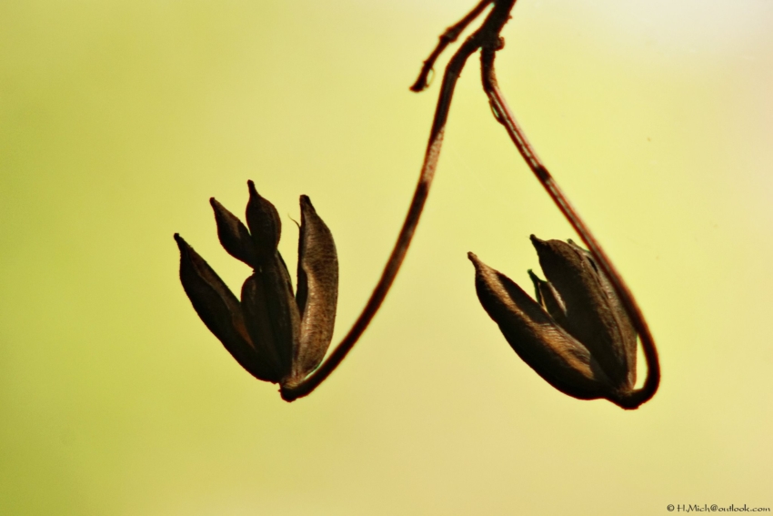 Studio-One.Art.br Repo Fotografia em Rio Preto SP/Brasil