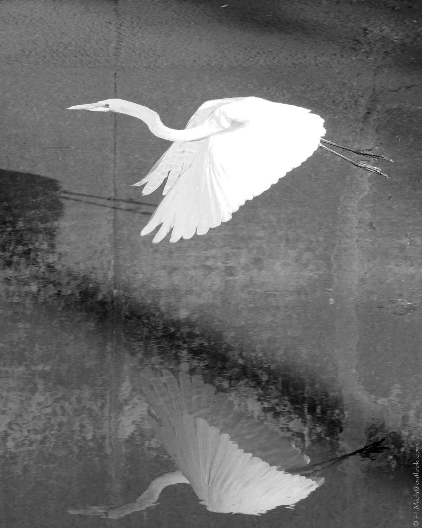 Studio-One.Art.br Repo Fotografia em Rio Preto SP/Brasil