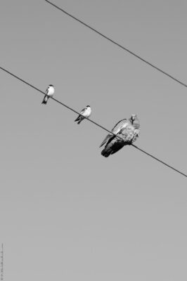 2022 06 15(444)