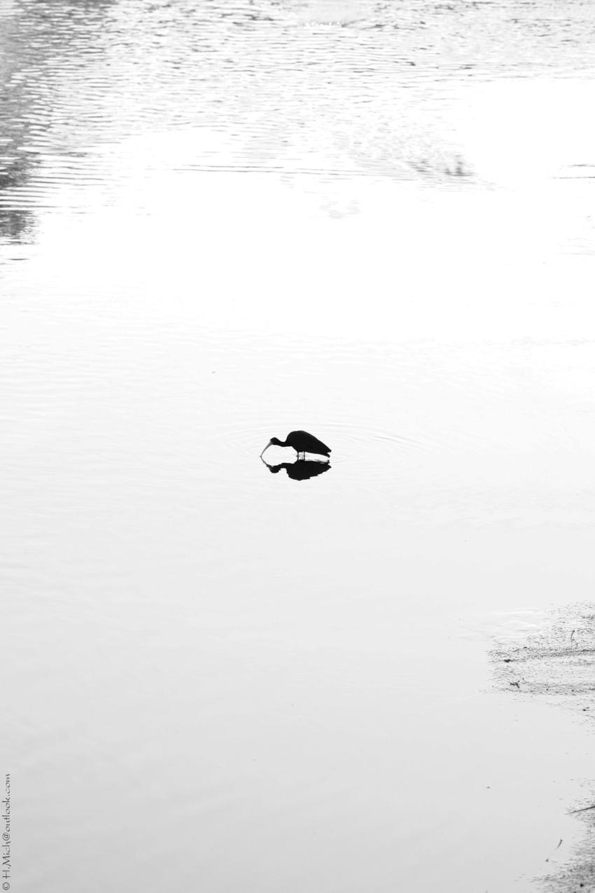 Studio-One.Art.br Repo Fotografia em Rio Preto SP/Brasil