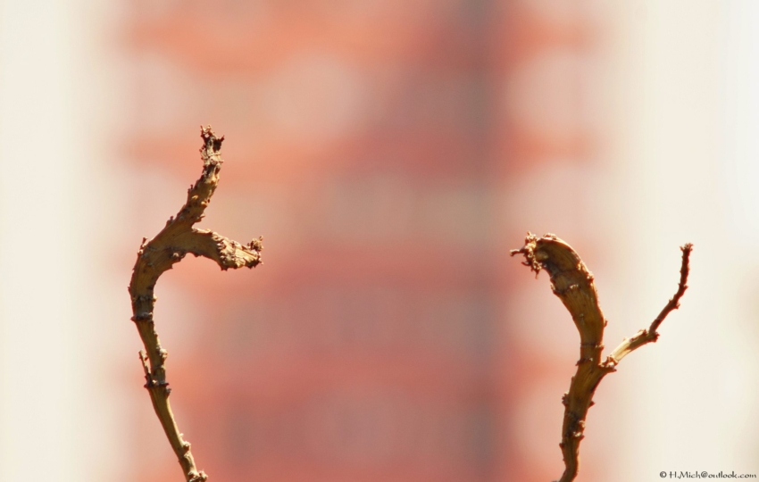 Studio-One.Art.br Repo Fotografia em Rio Preto SP/Brasil