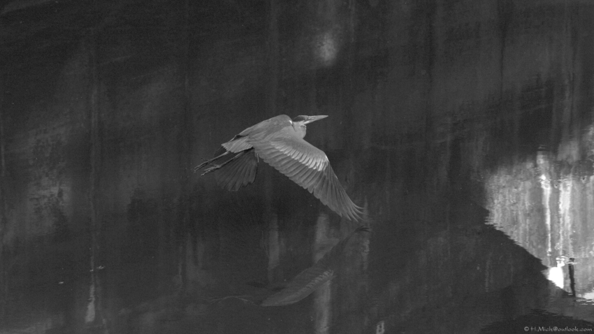 Studio-One.Art.br Repo Fotografia em Rio Preto SP/Brasil