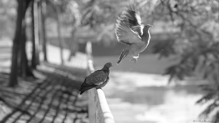 Studio-One.Art.br Repo Fotografia em Rio Preto SP/Brasil