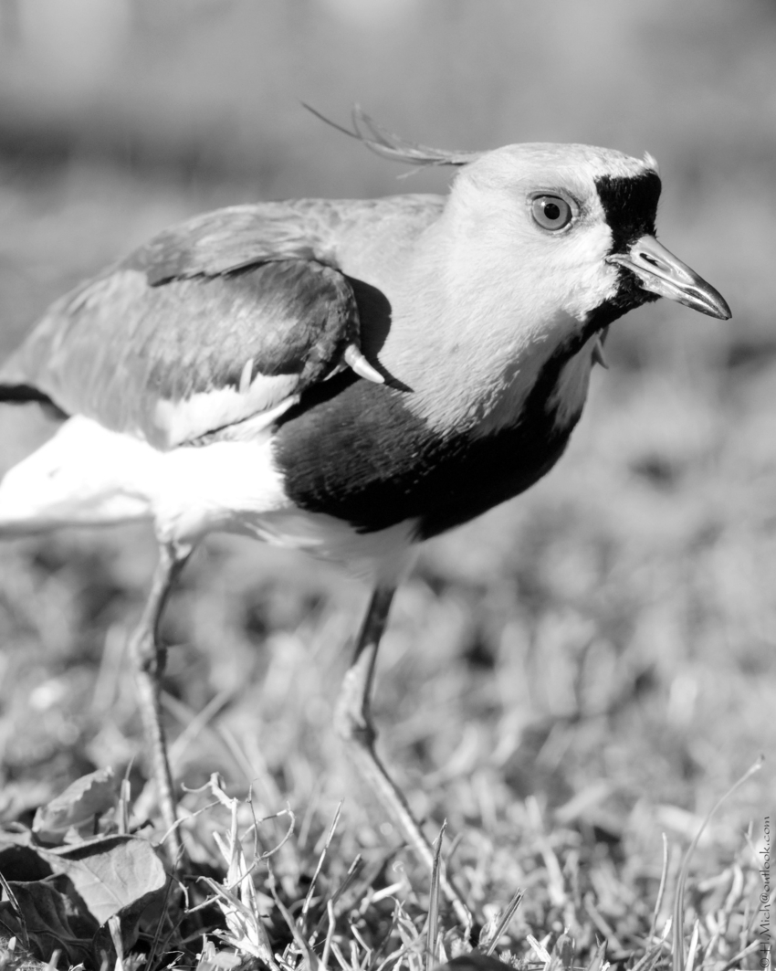 Studio-One.Art.br Repo Fotografia em Rio Preto SP/Brasil