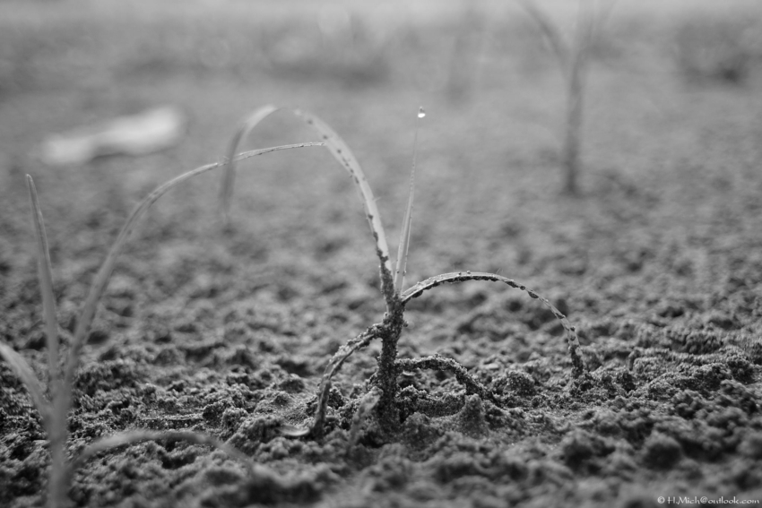 Studio-One.Art.br Repo Fotografia em Rio Preto SP/Brasil