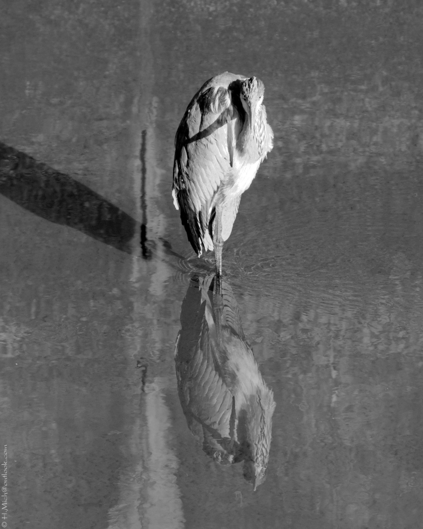 Studio-One.Art.br Repo Fotografia em Rio Preto SP/Brasil