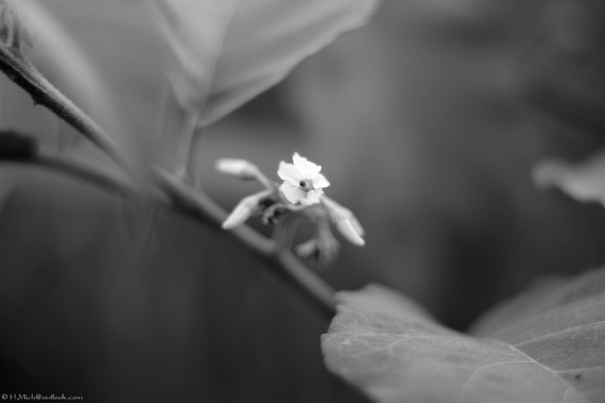 Studio-One.Art.br Repo Fotografia em Rio Preto SP/Brasil