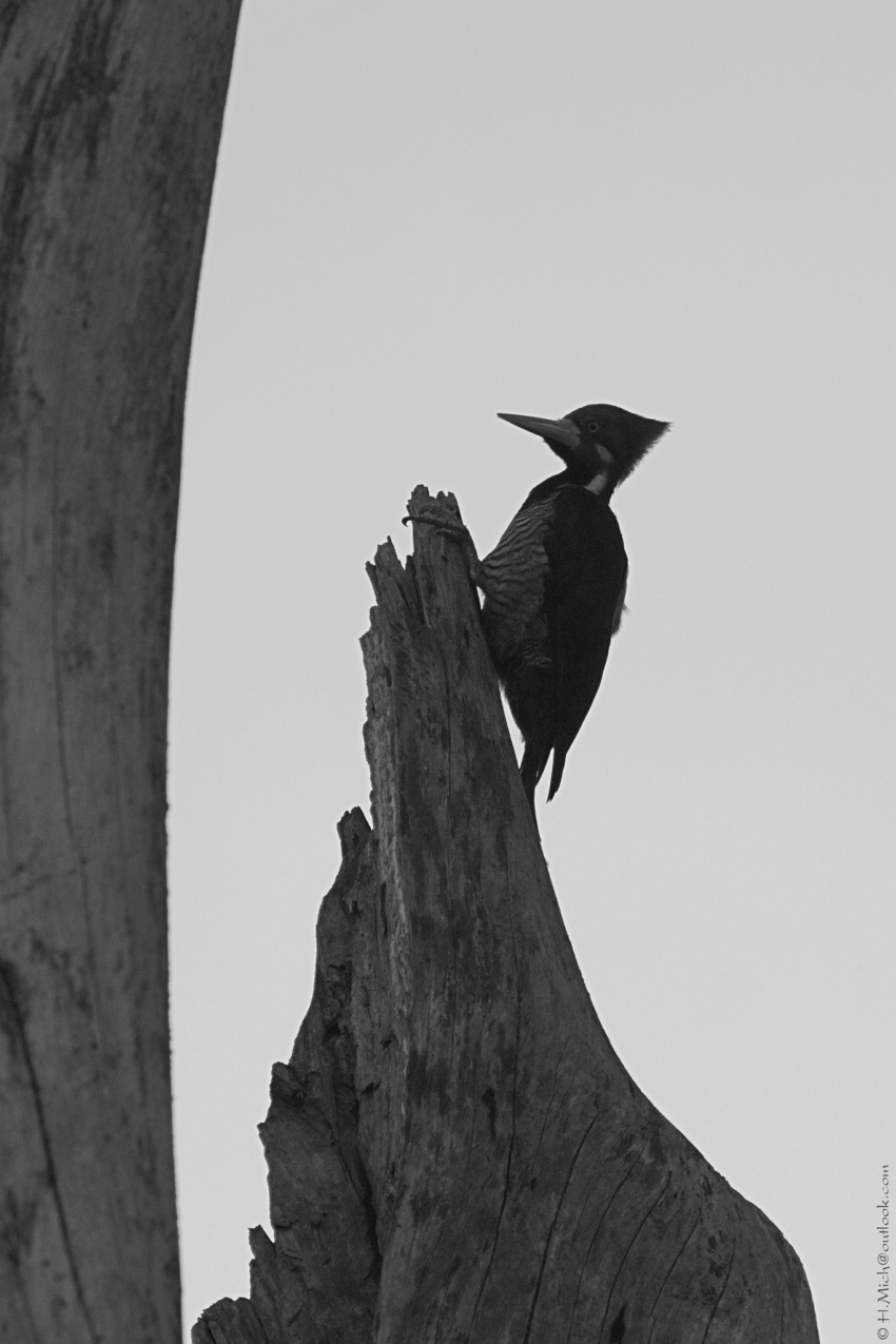Studio-One.Art.br Repo Fotografia em Rio Preto SP/Brasil