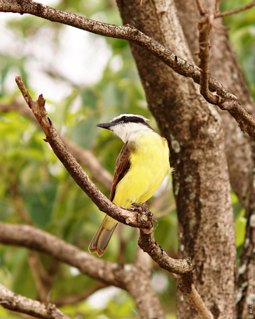 Studio-One.Art.br Repo Fotografia em Rio Preto SP/Brasil
