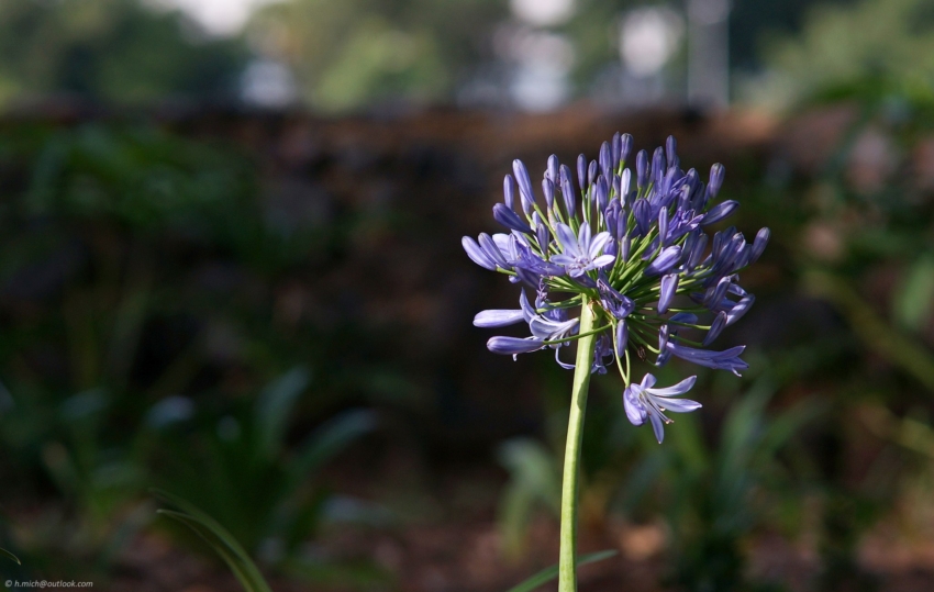 Studio-One.Art.br Repo Fotografia em Rio Preto SP/Brasil