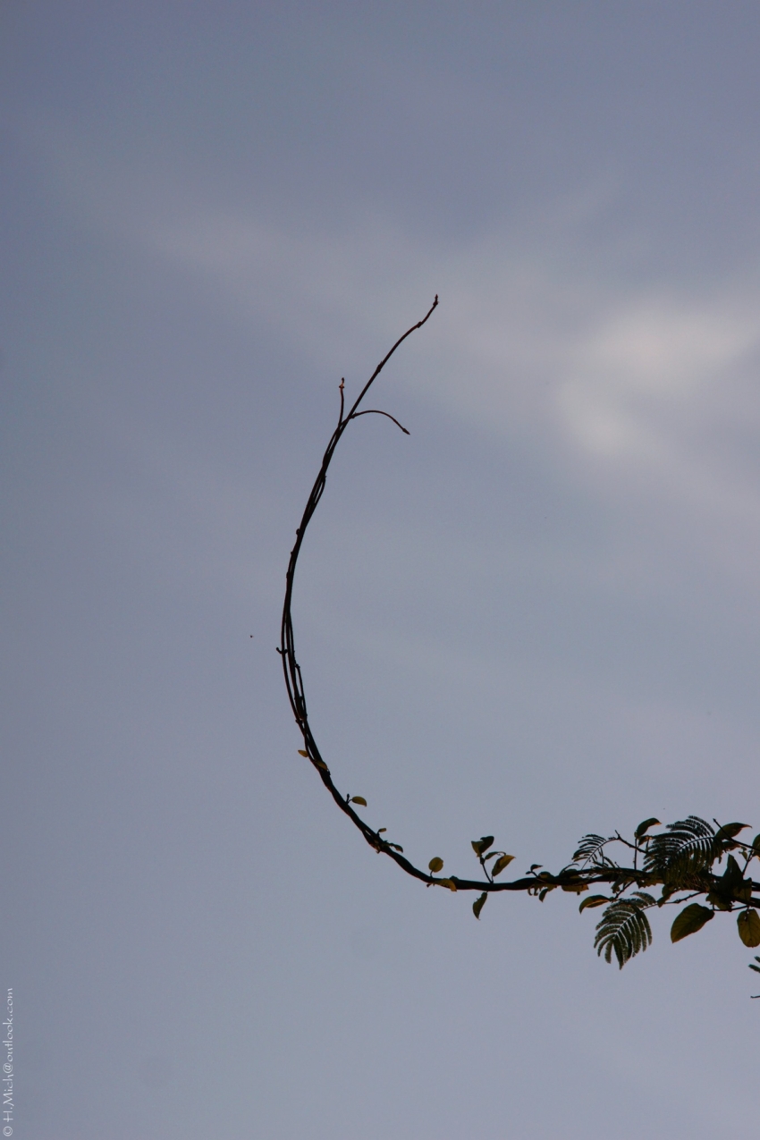 Studio-One.Art.br Repo Fotografia em Rio Preto SP/Brasil