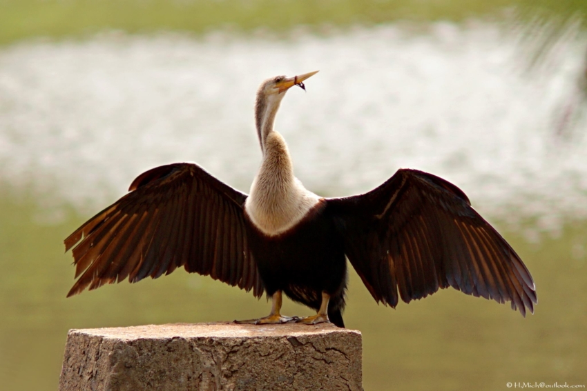 Studio-One.Art.br Repo Fotografia em Rio Preto SP/Brasil
