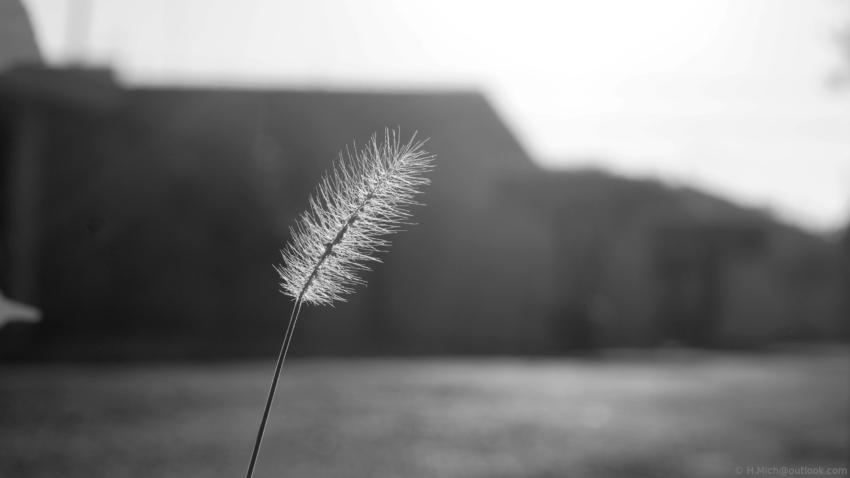 Studio-One.Art.br Repo Fotografia em Rio Preto SP/Brasil