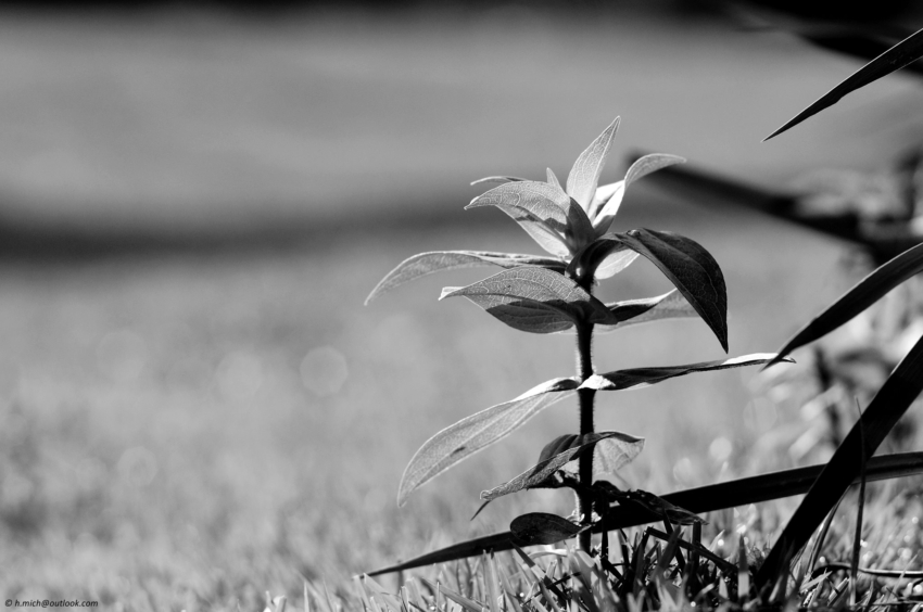 Studio-One.Art.br Repo Fotografia em Rio Preto SP/Brasil