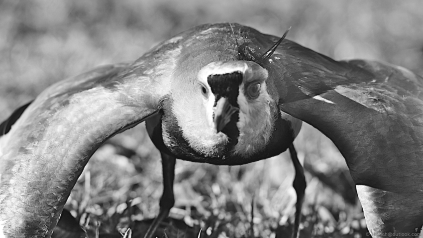 Studio-One.Art.br Repo Fotografia em Rio Preto SP/Brasil