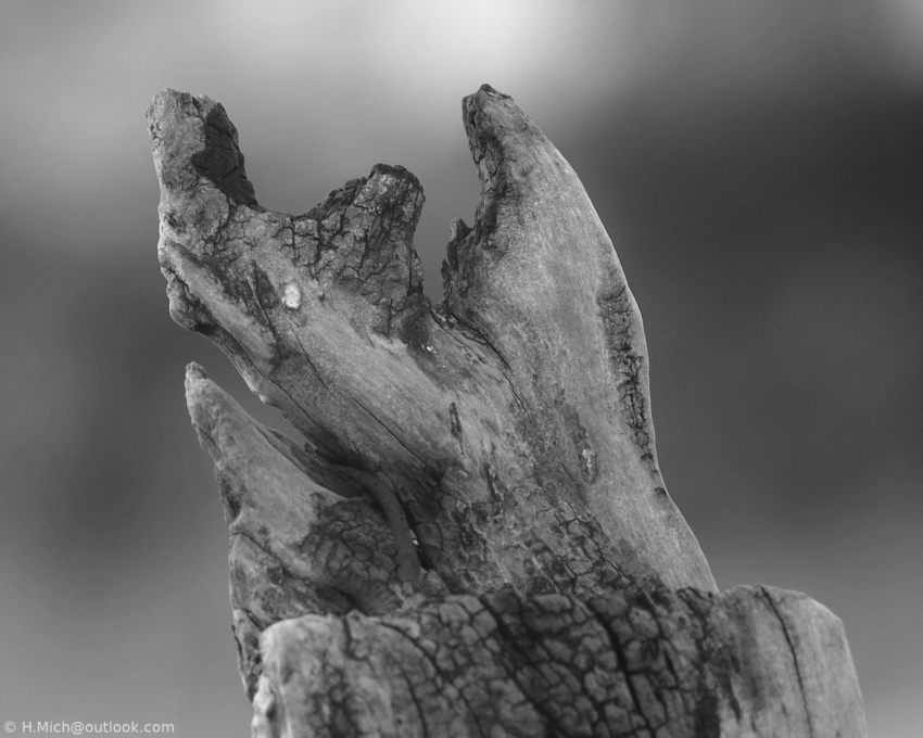 Studio-One.Art.br Repo Fotografia em Rio Preto SP/Brasil