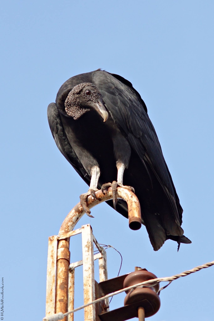 Studio-One.Art.br Repo Fotografia em Rio Preto SP/Brasil