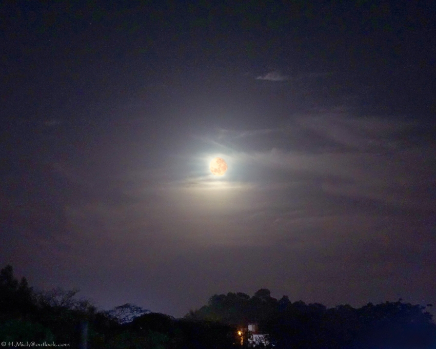 Studio-One.Art.br Repo Fotografia em Rio Preto SP/Brasil