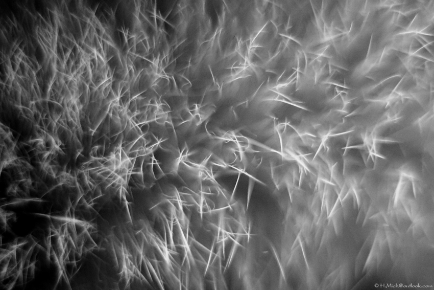 Studio-One.Art.br Repo Fotografia em Rio Preto SP/Brasil