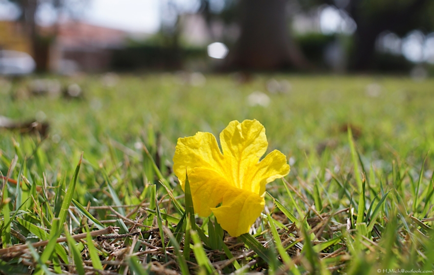 Studio-One.Art.br Repo Fotografia em Rio Preto SP/Brasil