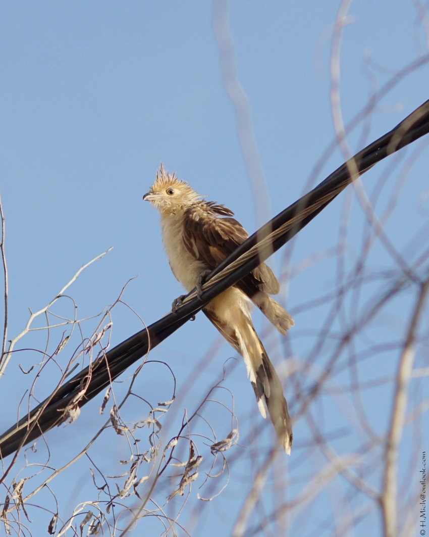 Studio-One.Art.br Repo Fotografia em Rio Preto SP/Brasil