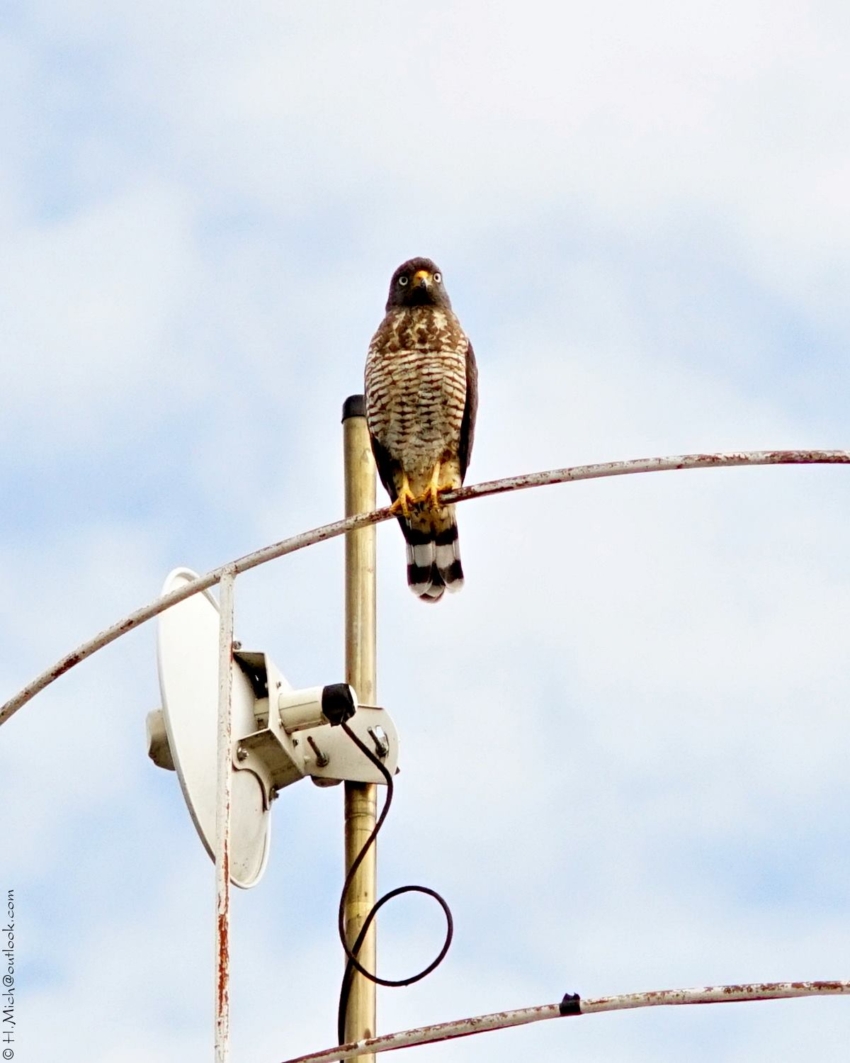 Studio-One.Art.br Repo Fotografia em Rio Preto SP/Brasil