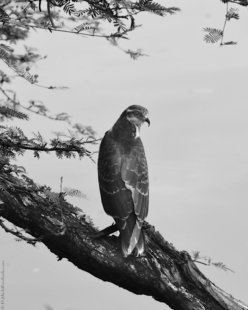 Studio-One.Art.br Repo Fotografia em Rio Preto SP/Brasil