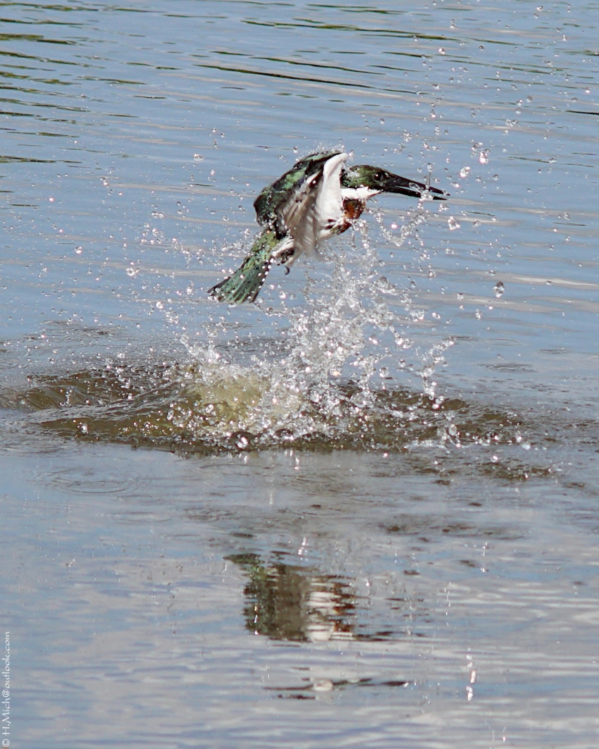 Studio-One.Art.br Repo Fotografia em Rio Preto SP/Brasil