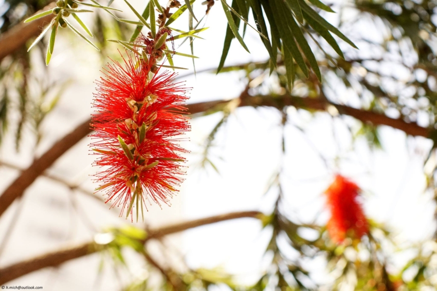 Studio-One.Art.br Repo Fotografia em Rio Preto SP/Brasil