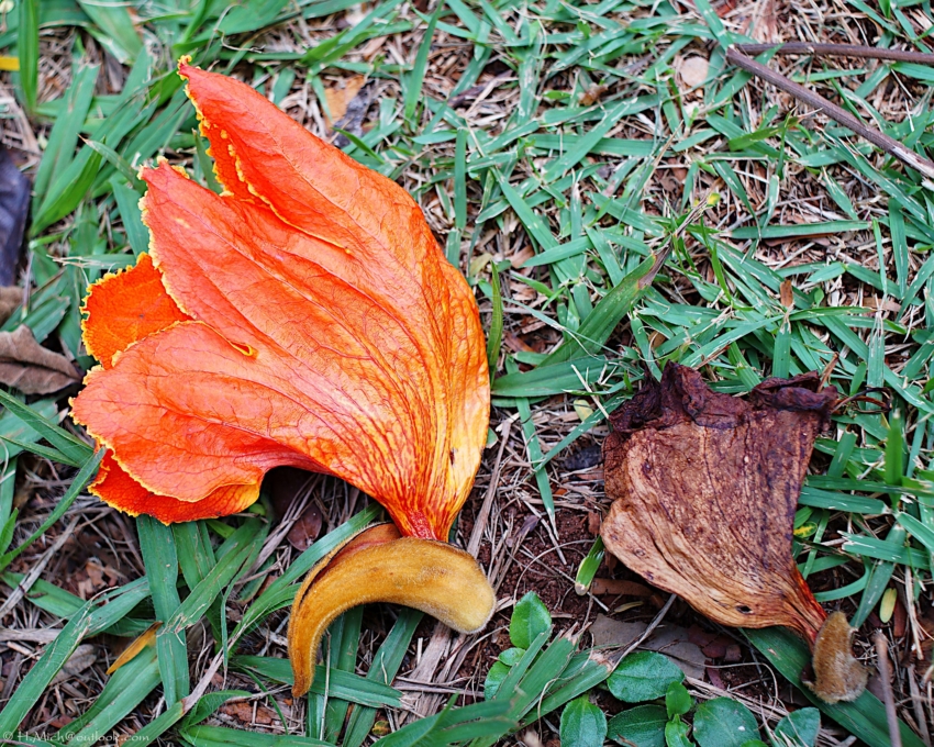 Studio-One.Art.br Repo Fotografia em Rio Preto SP/Brasil