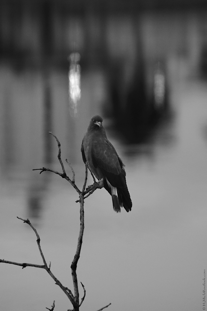 Studio-One.Art.br Repo Fotografia em Rio Preto SP/Brasil