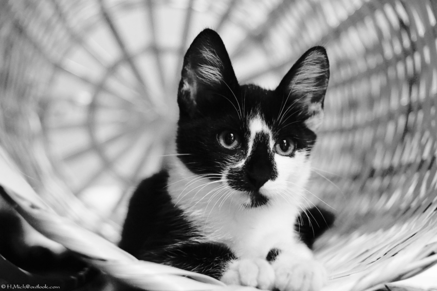 Studio-One.Art.br Repo Fotografia em Rio Preto SP/Brasil