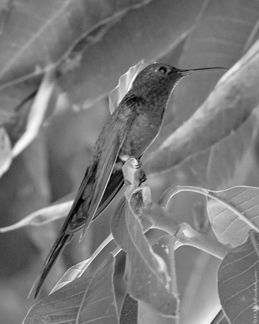 Studio-One.Art.br Repo Fotografia em Rio Preto SP/Brasil