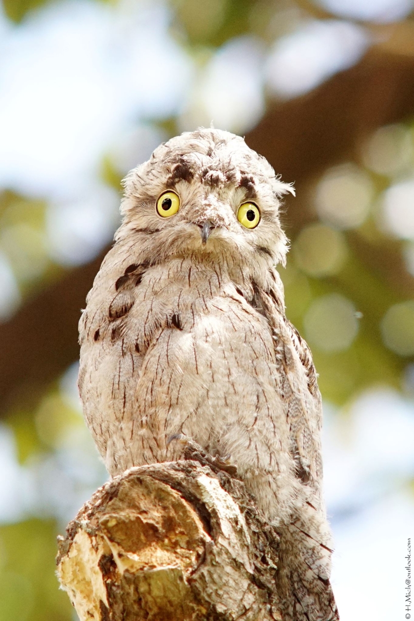 Studio-One.Art.br Repo Fotografia em Rio Preto SP/Brasil