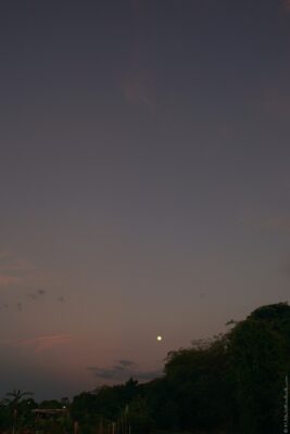 2022 06 15(47)