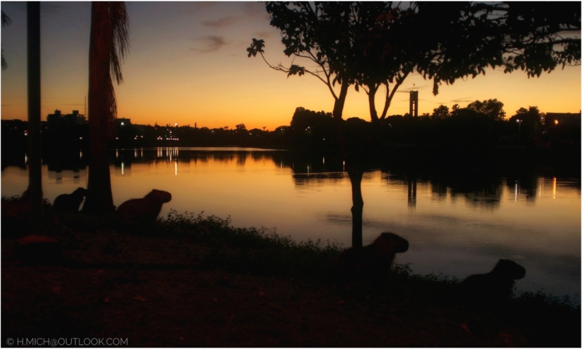 Studio-One.Art.br Repo Fotografia em Rio Preto SP/Brasil