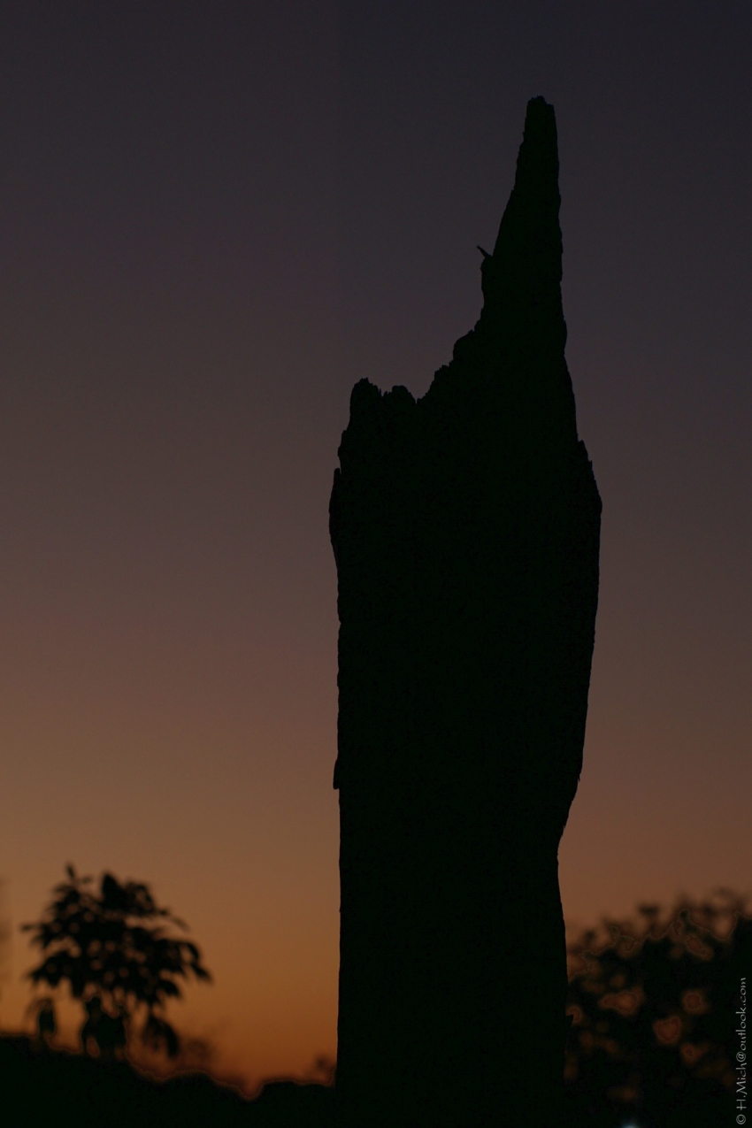 Studio-One.Art.br Repo Fotografia em Rio Preto SP/Brasil